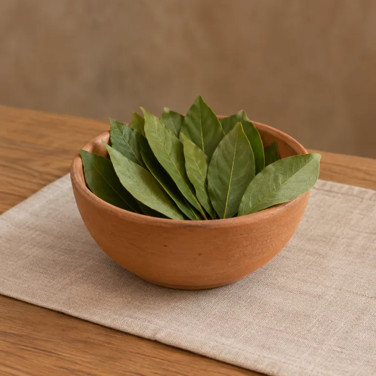 The Sacred Leaf, Reconsidered: Coca in Bolivia's Luxury Wellness Rituals